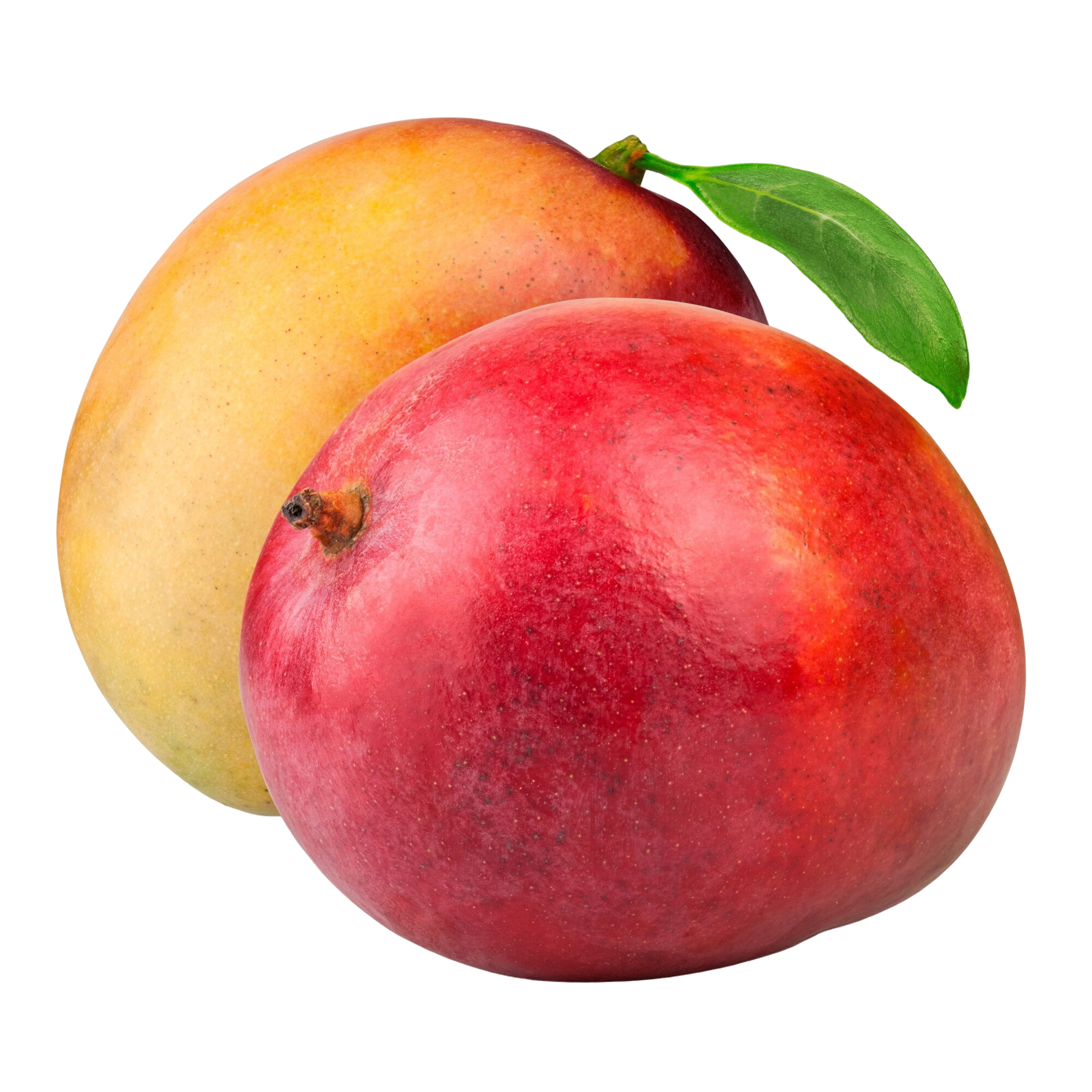 Fruta mango aislado