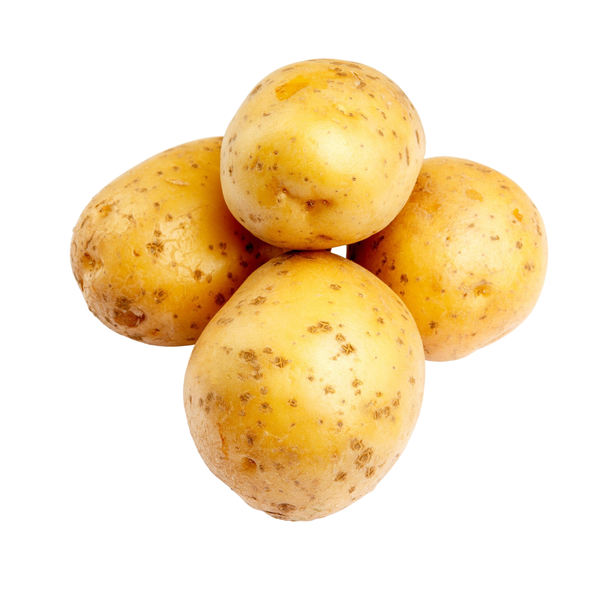 Patata aislado blanco